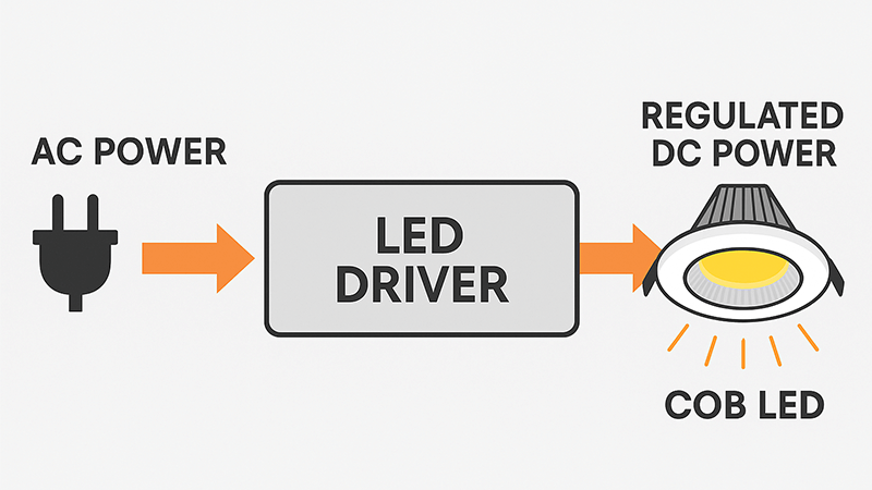 An illustration showing AC power going into an LED driver and regulated DC power coming out to a COB LED.