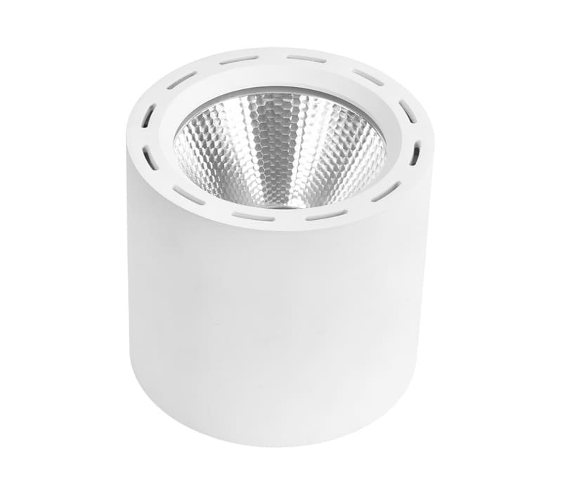 Surface mount outdoor LED downlight